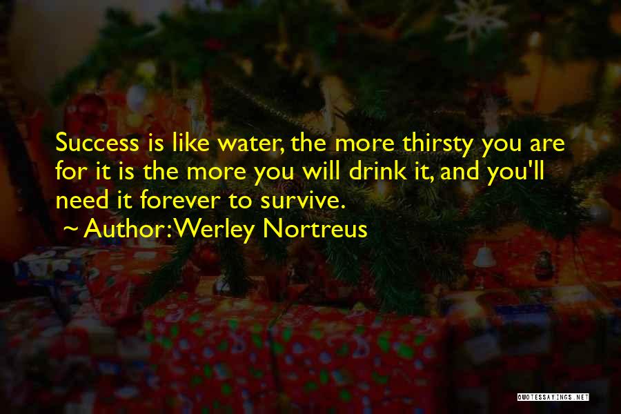 Best Hard Work Motivational Quotes By Werley Nortreus