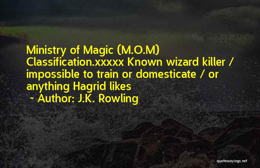 Best Harry Potter Quotes By J.K. Rowling