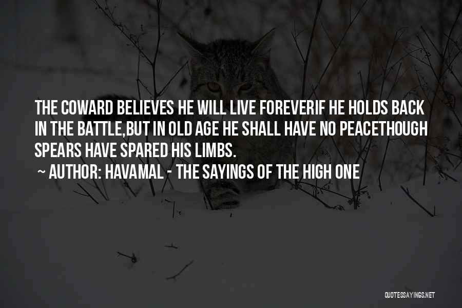 Best Havamal Quotes By Havamal - The Sayings Of The High One