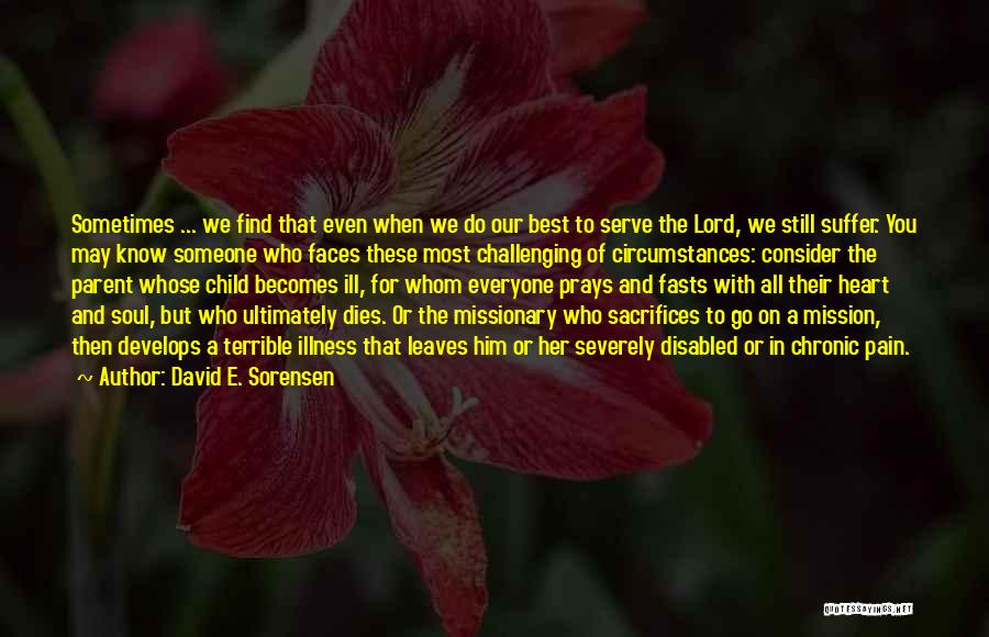 Best Heart And Soul Quotes By David E. Sorensen