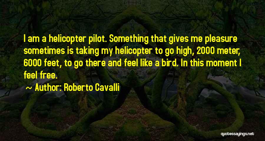 Best Helicopter Pilot Quotes By Roberto Cavalli