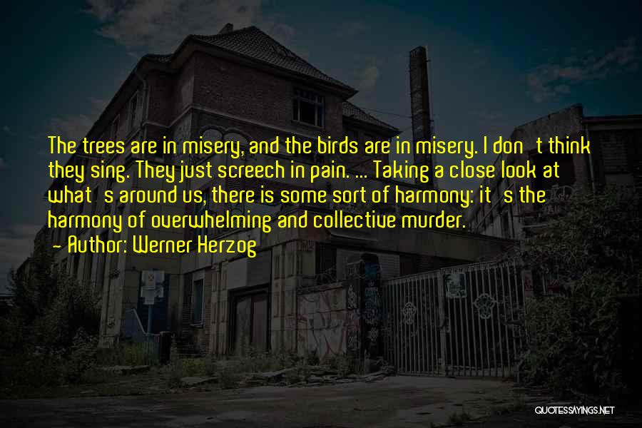 Best Herzog Quotes By Werner Herzog