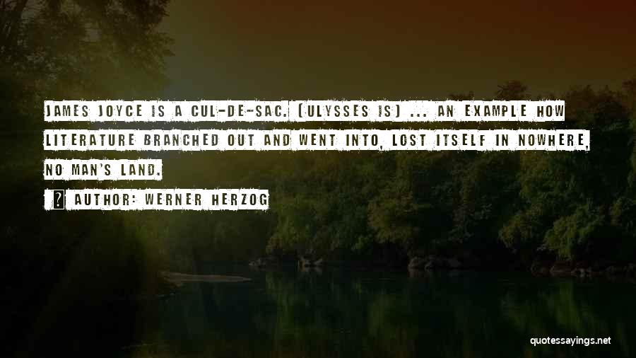 Best Herzog Quotes By Werner Herzog