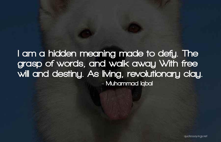 Best Hidden Meaning Quotes By Muhammad Iqbal Best Hidden Meaning Quotes By Muhammad Iqbal