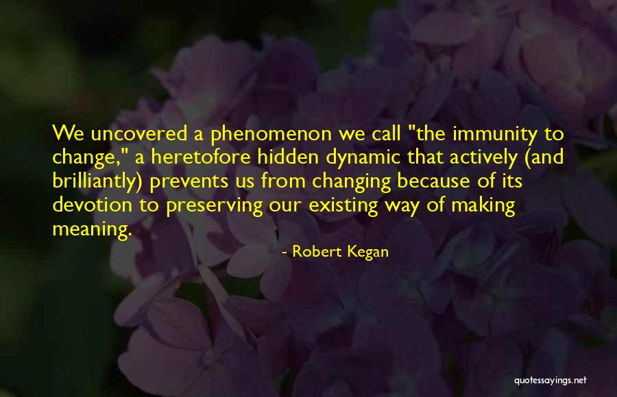 Best Hidden Meaning Quotes By Robert Kegan Best Hidden Meaning Quotes By Robert Kegan