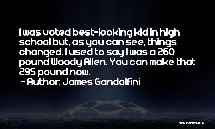 Best High School Quotes By James Gandolfini