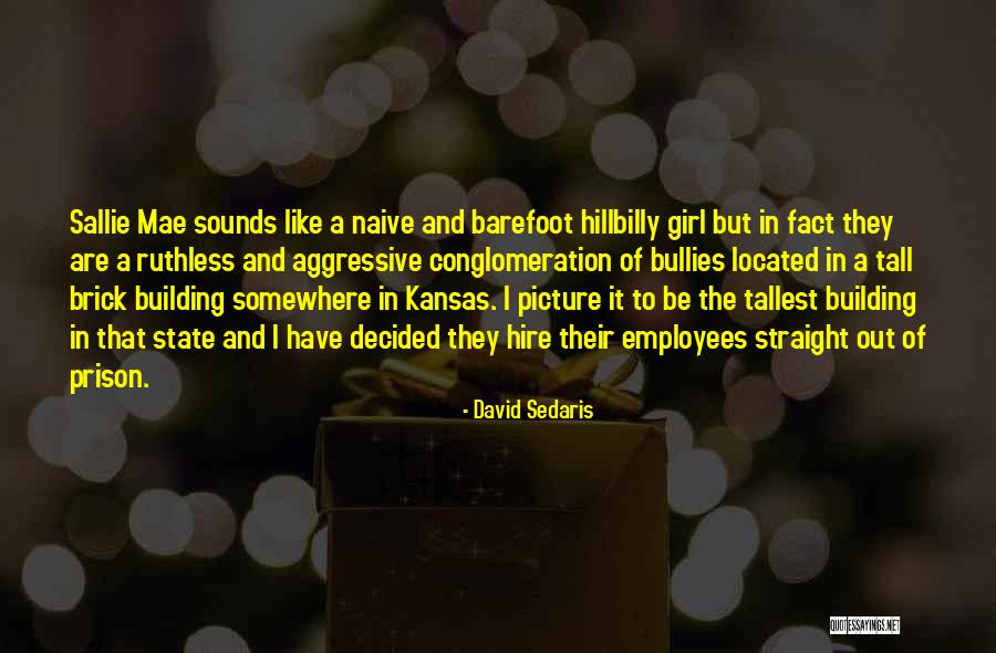 Best Hillbilly Quotes By David Sedaris Best Hillbilly Quotes By David Sedaris