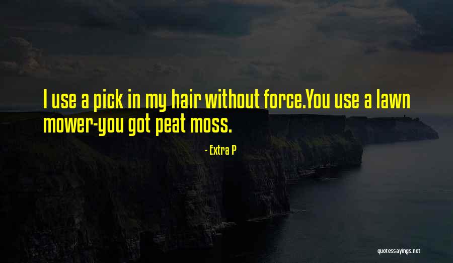 Best Hip Hop Quotes By Extra P Best Hip Hop Quotes By Extra P