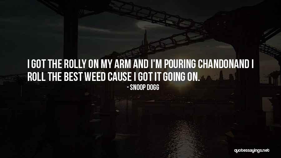 Best Hip Hop Quotes By Snoop Dogg Best Hip Hop Quotes By Snoop Dogg