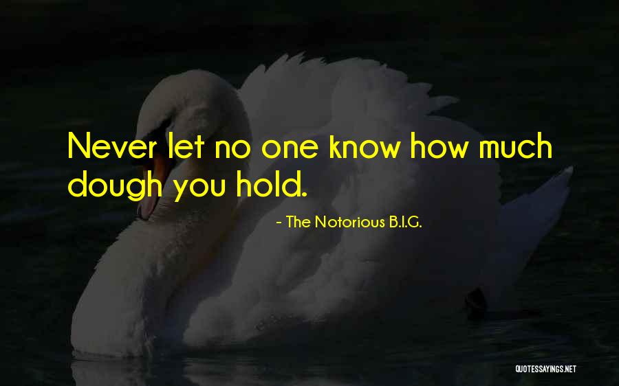Best Hip Hop Quotes By The Notorious B.I.G. Best Hip Hop Quotes By The Notorious B.I.G.