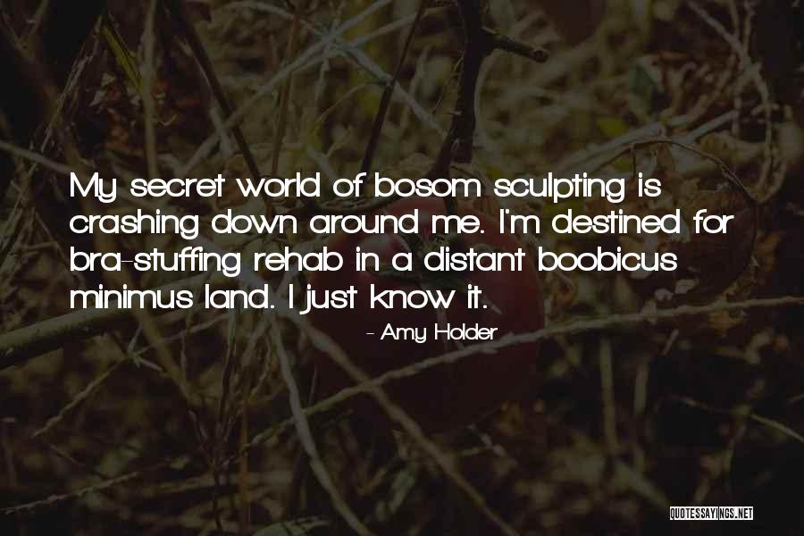 Best Holder Quotes By Amy Holder