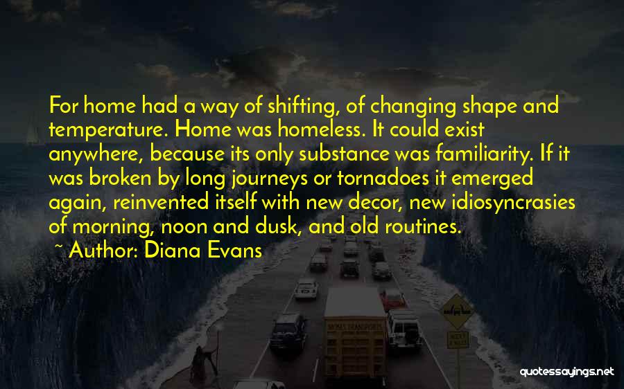 Best Home Decor Quotes By Diana Evans