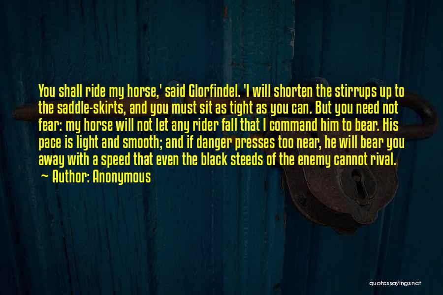 Best Horse And Rider Quotes By Anonymous