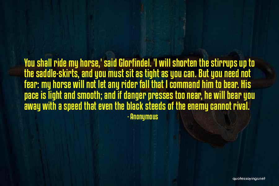 Best Horse And Rider Quotes By Anonymous