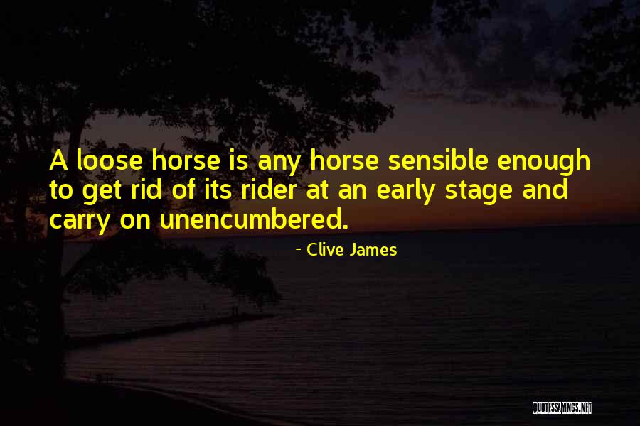 Best Horse And Rider Quotes By Clive James