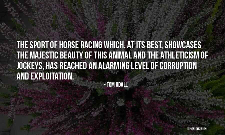 Best Horse Quotes By Tom Udall Best Horse Quotes By Tom Udall