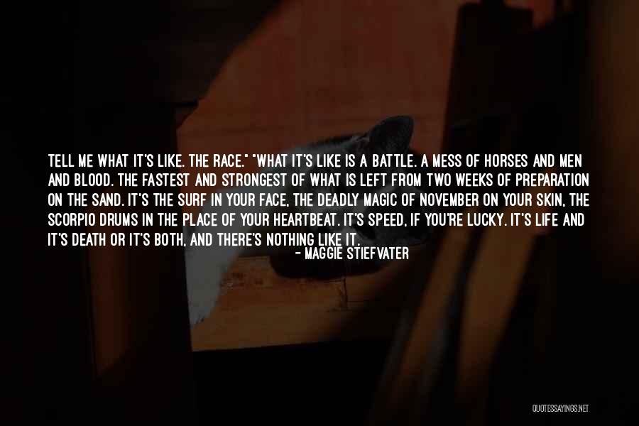 Best Horse Race Quotes By Maggie Stiefvater Best Horse Race Quotes By Maggie Stiefvater
