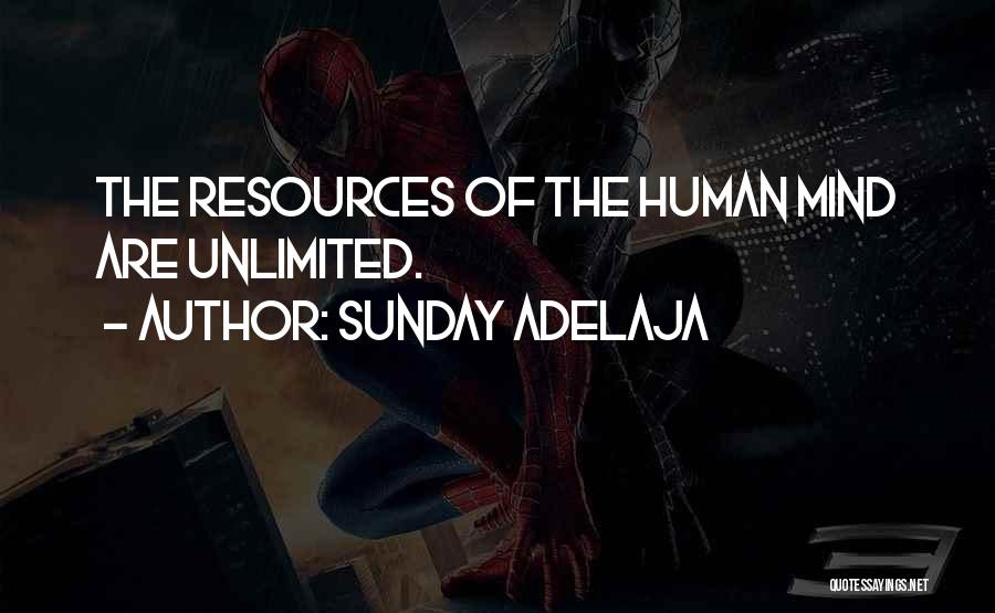 Best Human Resources Quotes By Sunday Adelaja