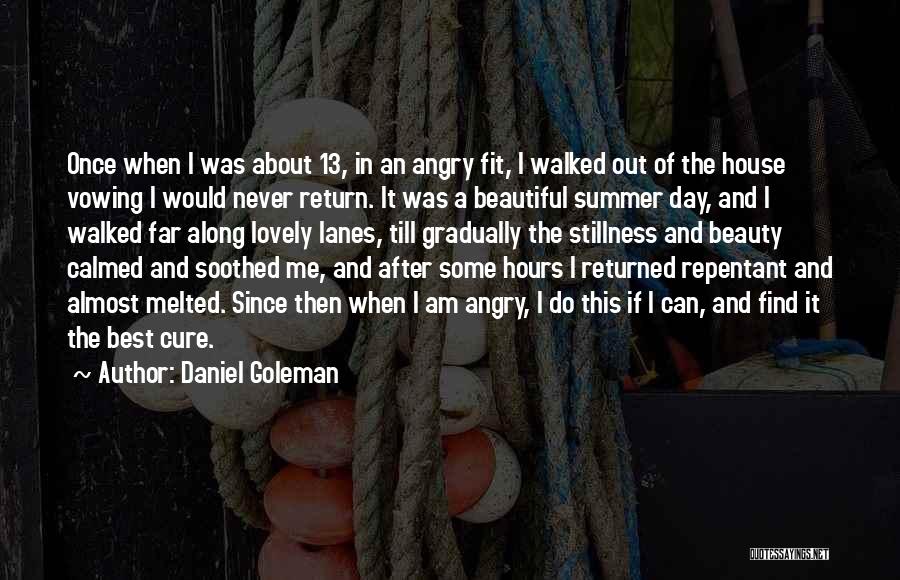 Best I Can Do Quotes By Daniel Goleman