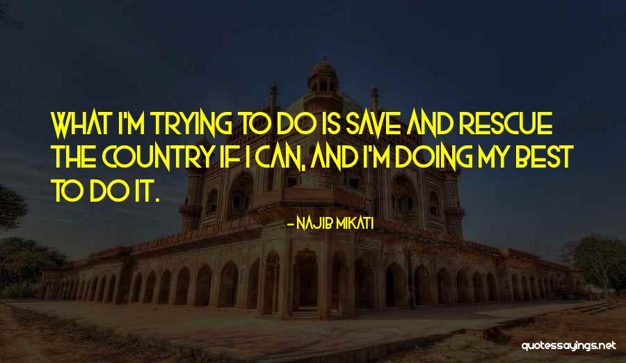 Best I Can Do Quotes By Najib Mikati