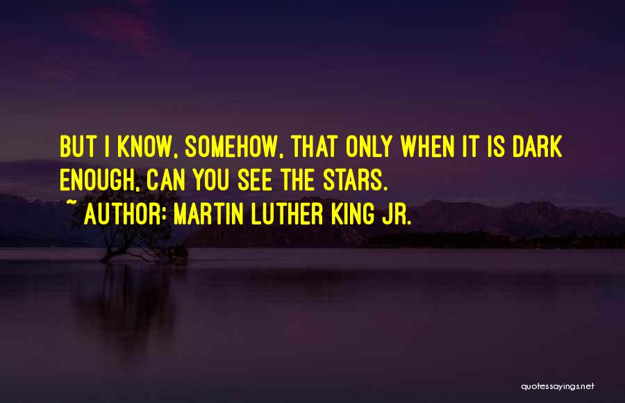 Best I See Stars Quotes By Martin Luther King Jr.