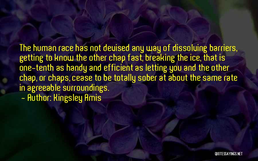 Best Ice Breaking Quotes By Kingsley Amis