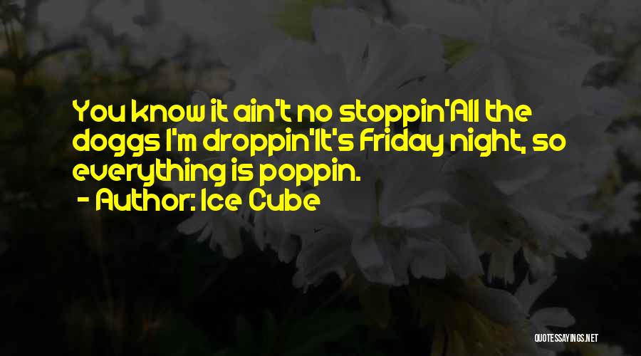 Best Ice Cube Rap Quotes By Ice Cube