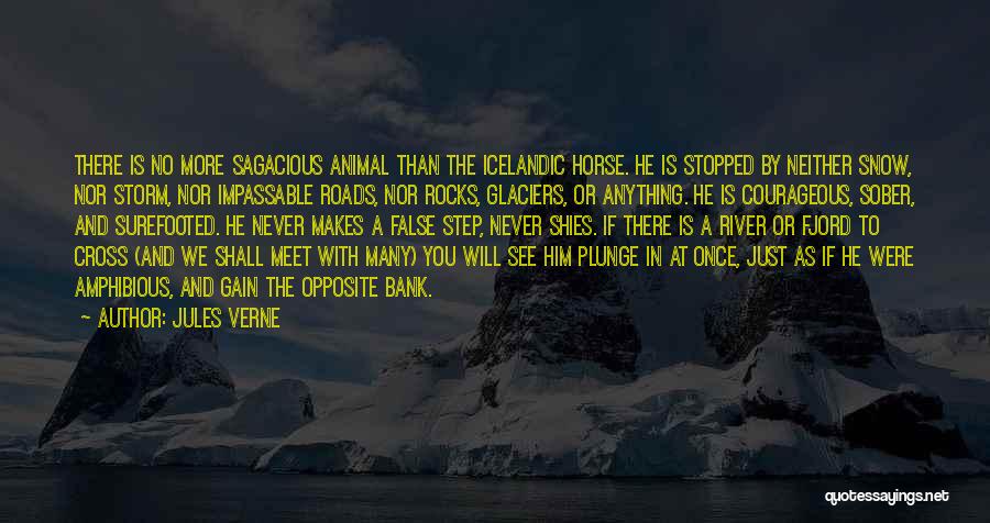 Best Icelandic Quotes By Jules Verne