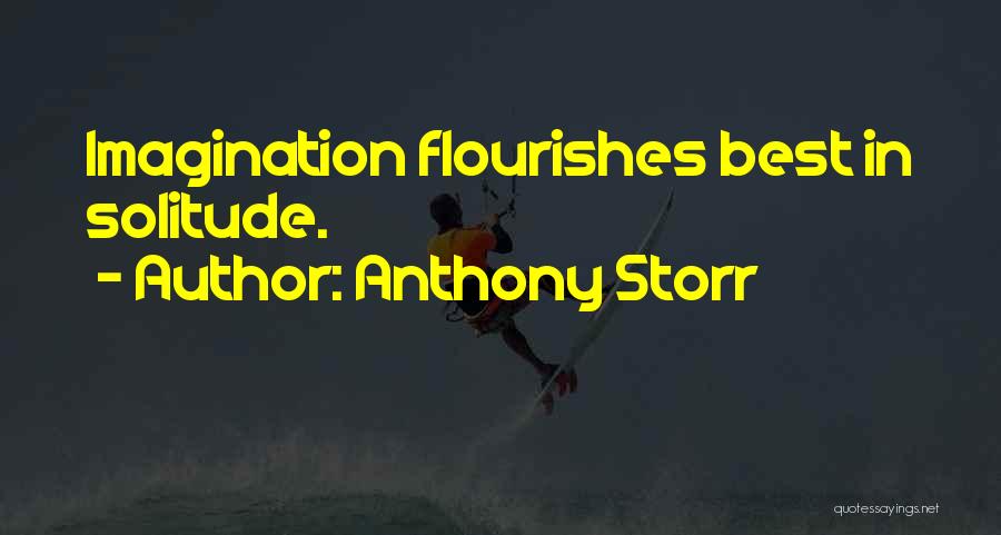 Best Imagination Quotes By Anthony Storr