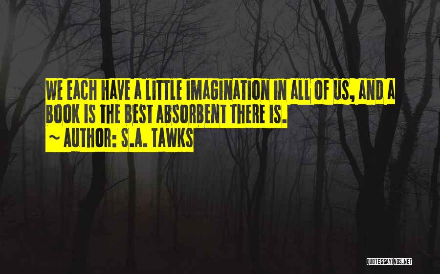 Best Imagination Quotes By S.A. Tawks