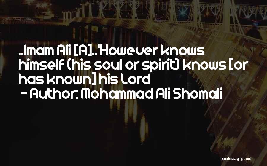 Best Imam Quotes By Mohammad Ali Shomali