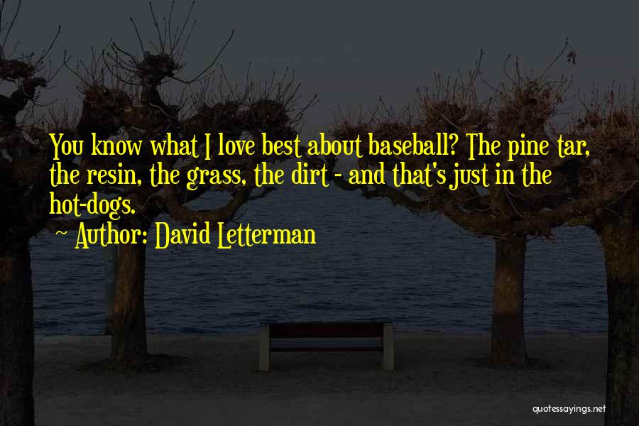 Best In You Quotes By David Letterman