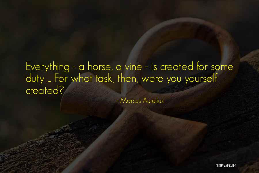 Best Inspirational Horse Quotes By Marcus Aurelius