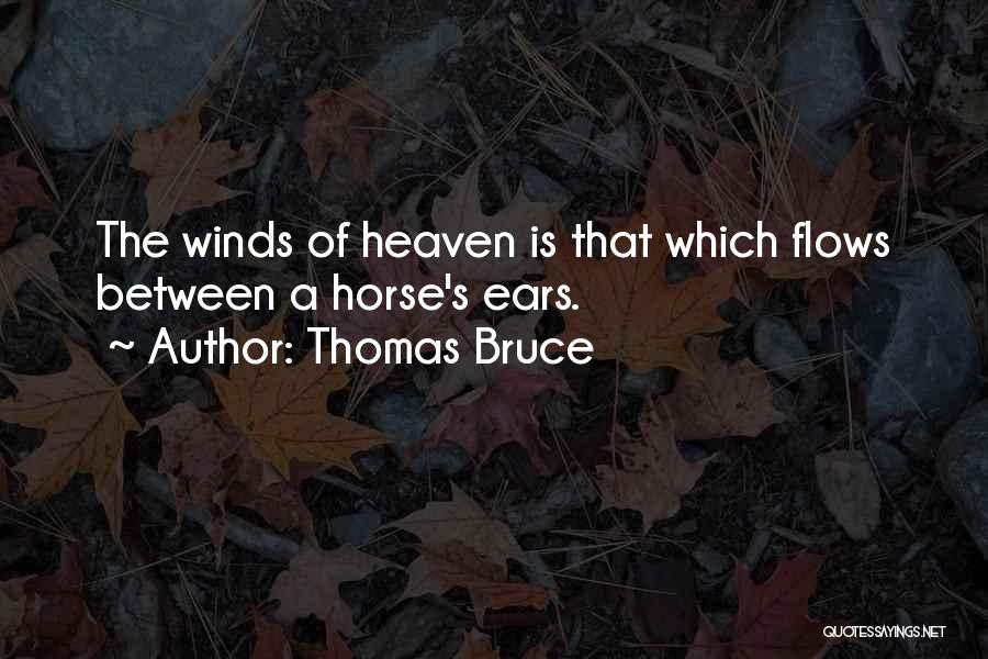 Best Inspirational Horse Quotes By Thomas Bruce