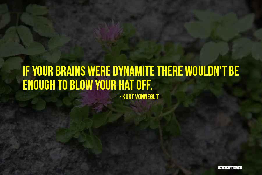 Best Insults Quotes By Kurt Vonnegut