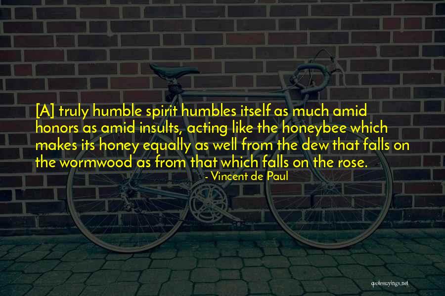 Best Insults Quotes By Vincent De Paul Best Insults Quotes By Vincent De Paul
