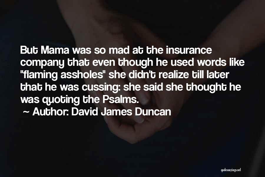 Best Insurance Company Quotes By David James Duncan