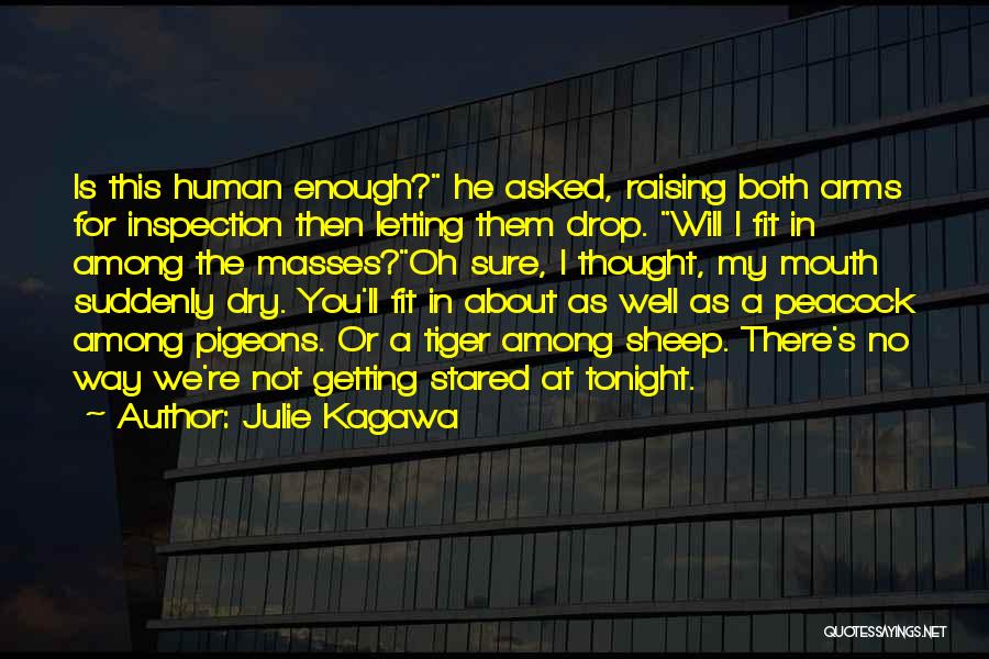 Best Iron Fey Quotes By Julie Kagawa