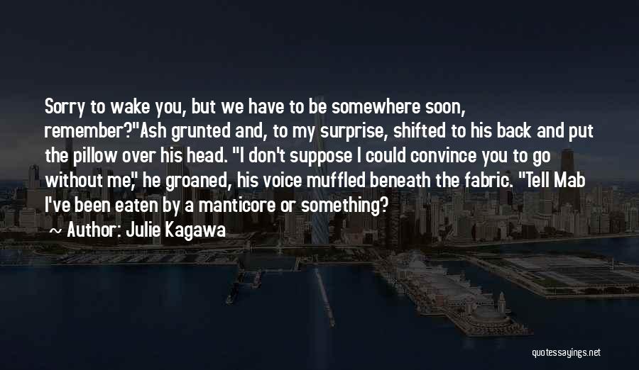 Best Iron Fey Quotes By Julie Kagawa