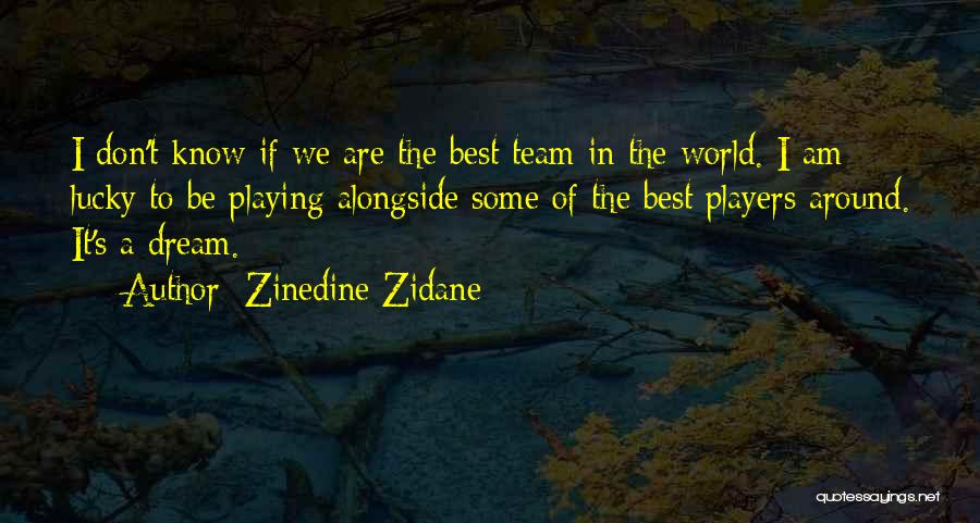 Best It Team Quotes By Zinedine Zidane