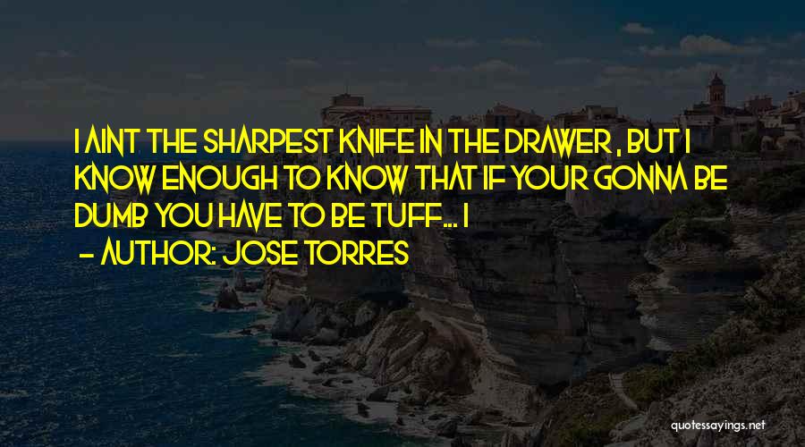 Best Jackass Quotes By Jose Torres