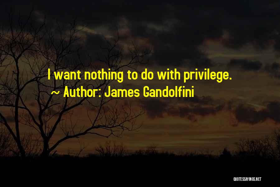 Best James Gandolfini Quotes By James Gandolfini