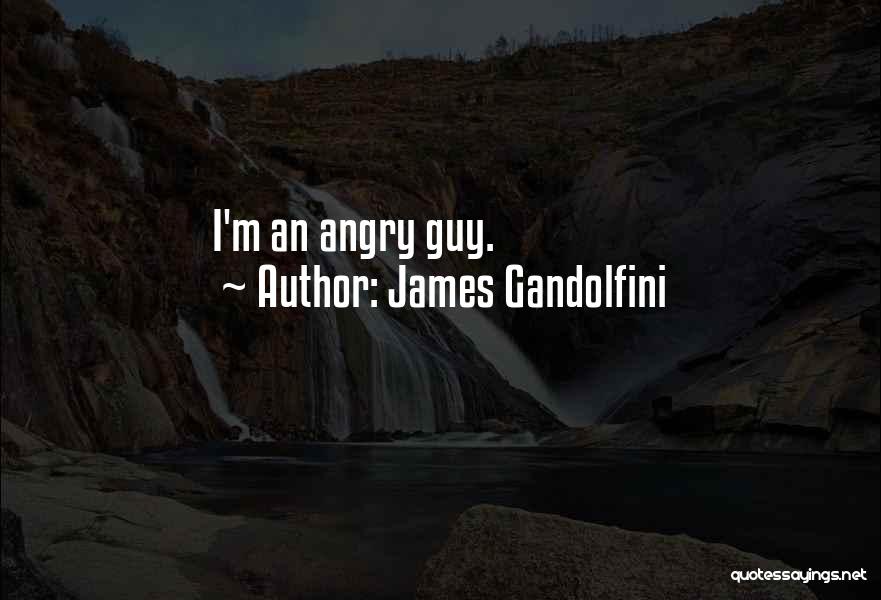 Best James Gandolfini Quotes By James Gandolfini