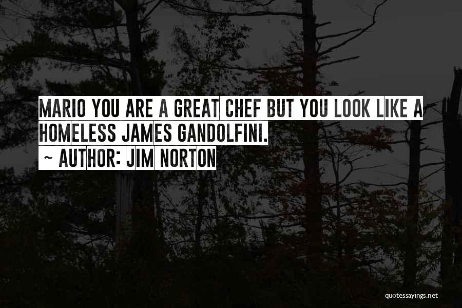 Best James Gandolfini Quotes By Jim Norton