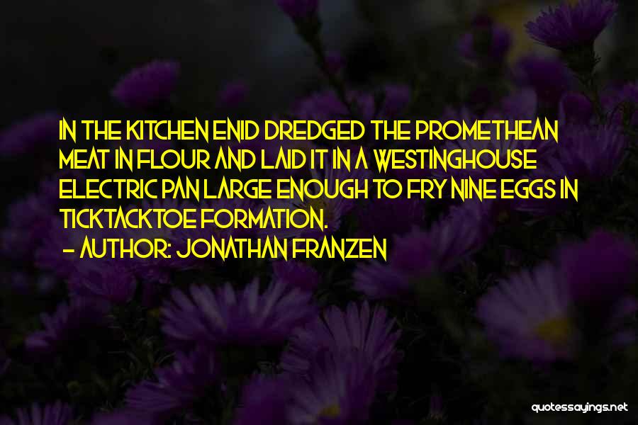 Best Jonathan Franzen Quotes By Jonathan Franzen