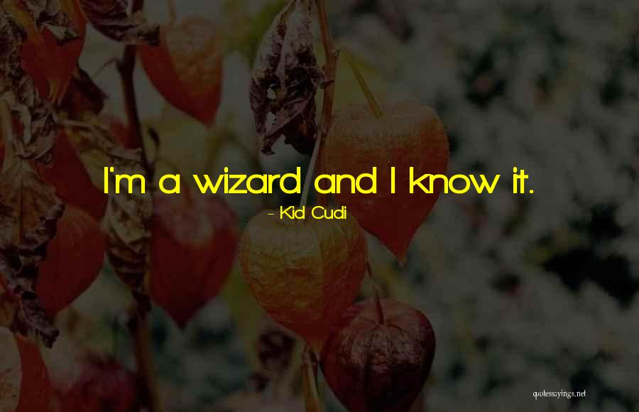 Best Kid Cudi Quotes By Kid Cudi