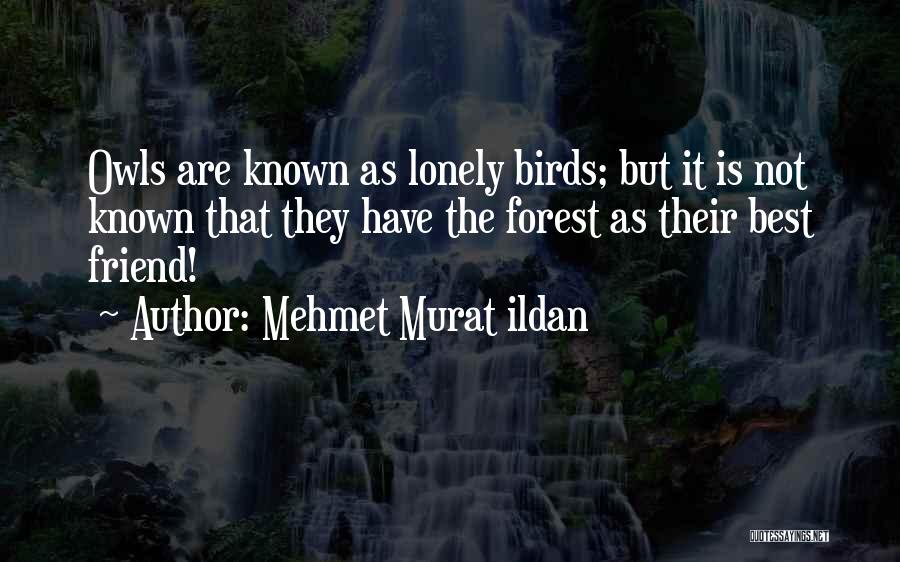 Best Known Quotes By Mehmet Murat Ildan