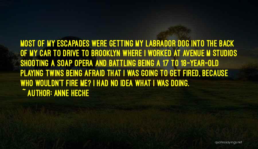 Best Labrador Quotes By Anne Heche