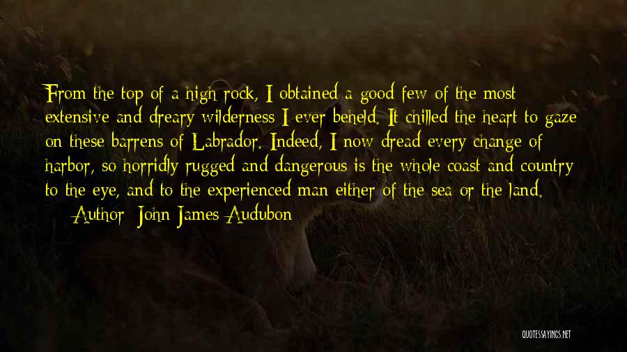 Best Labrador Quotes By John James Audubon