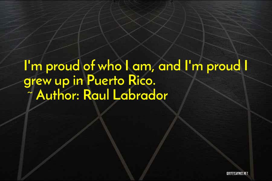 Best Labrador Quotes By Raul Labrador